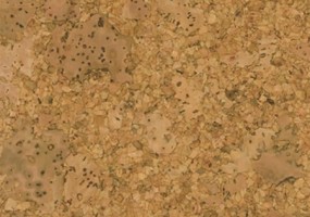 Granorte Cork trend "Mineral"